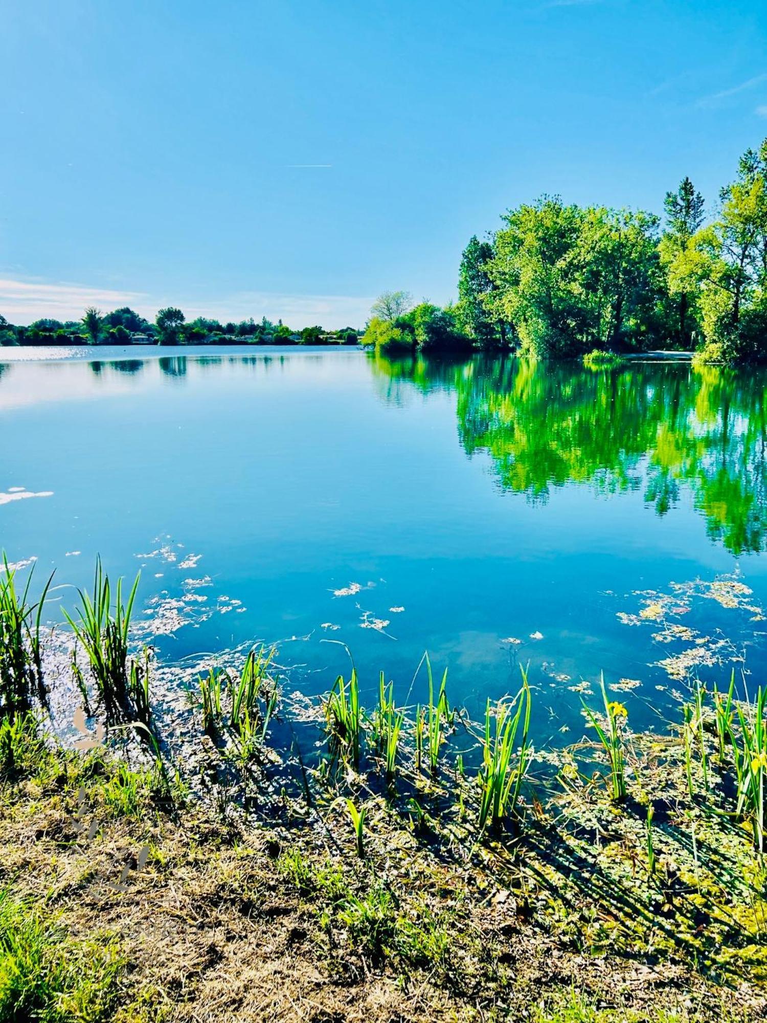 Maison Avec Acces Au Lac Izon المظهر الخارجي الصورة
